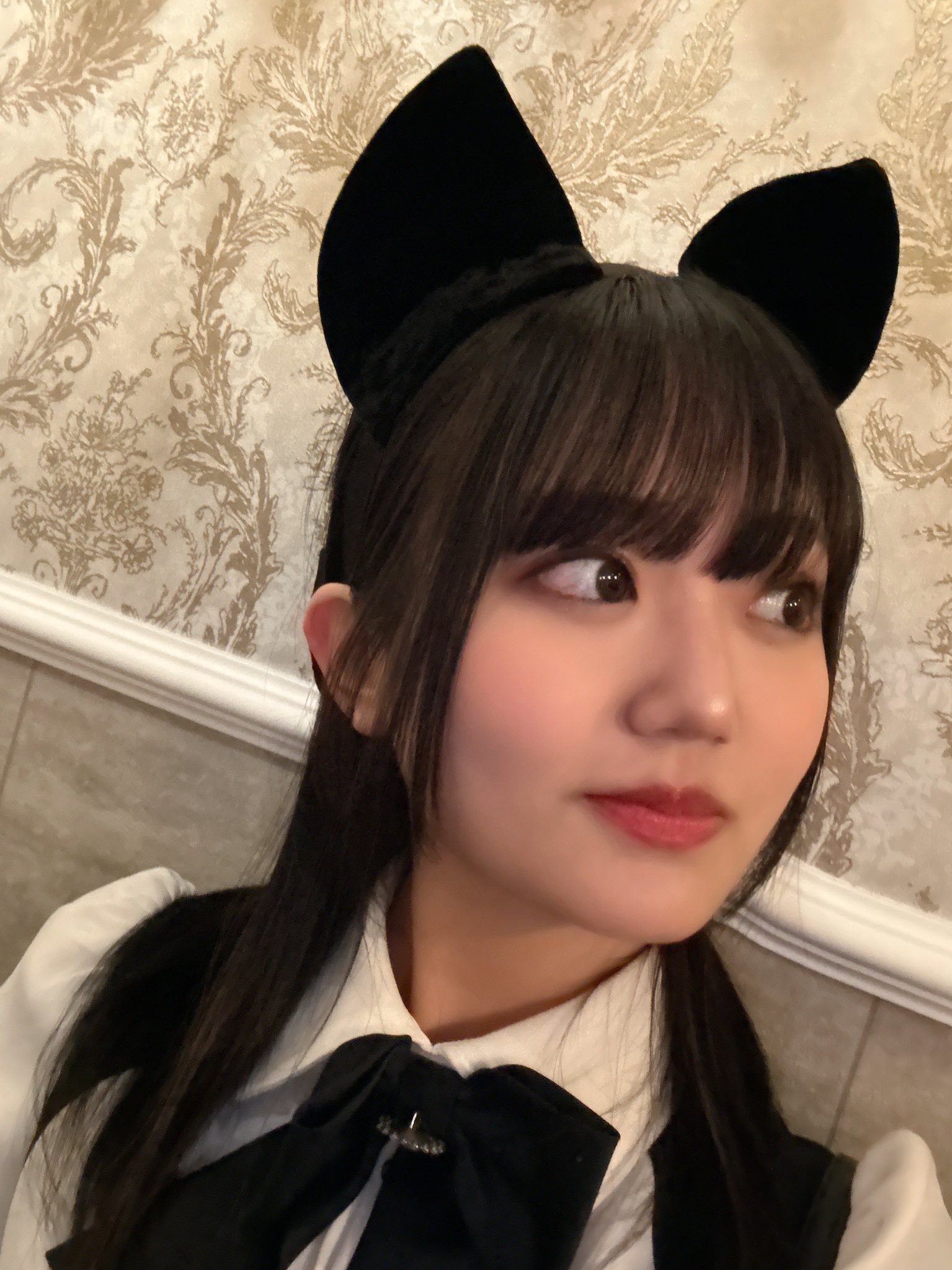 清楚な子猫ちゃんのcafe&barみゃおみゃお(れい)さん