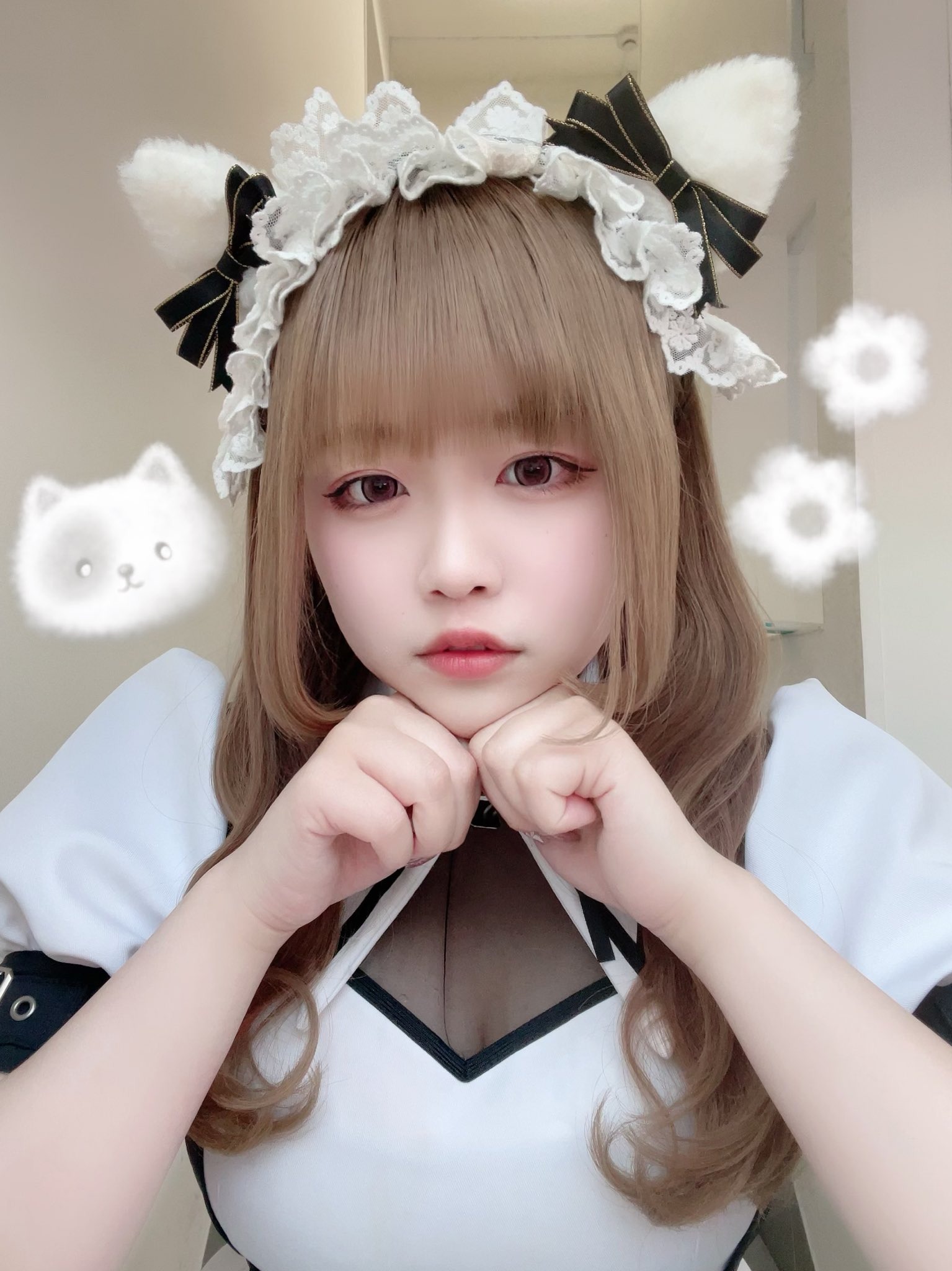 ホワイトバース はらてゃん 1