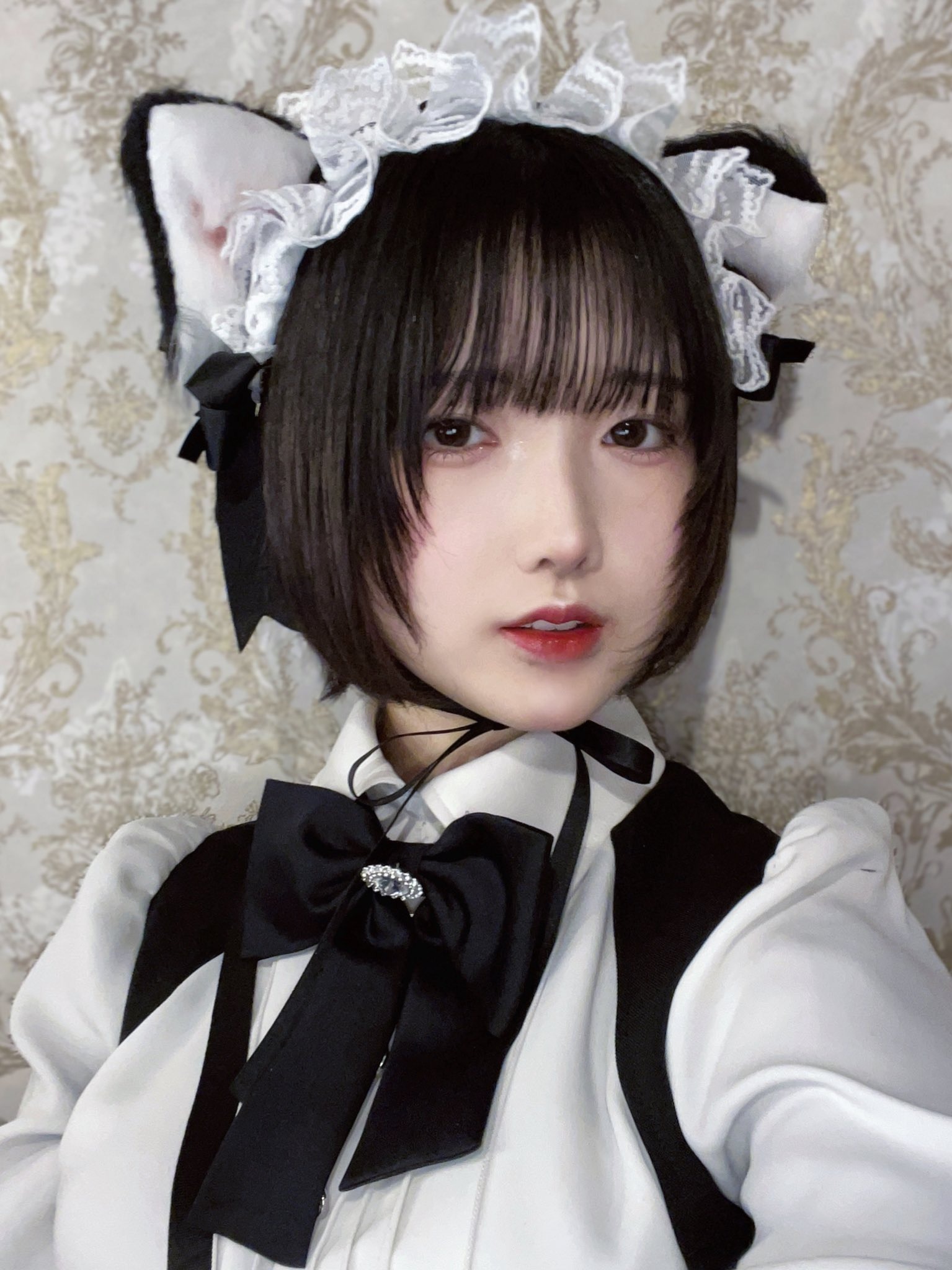 清楚な子猫ちゃんのcafe&barみゃおみゃお(あお)さん