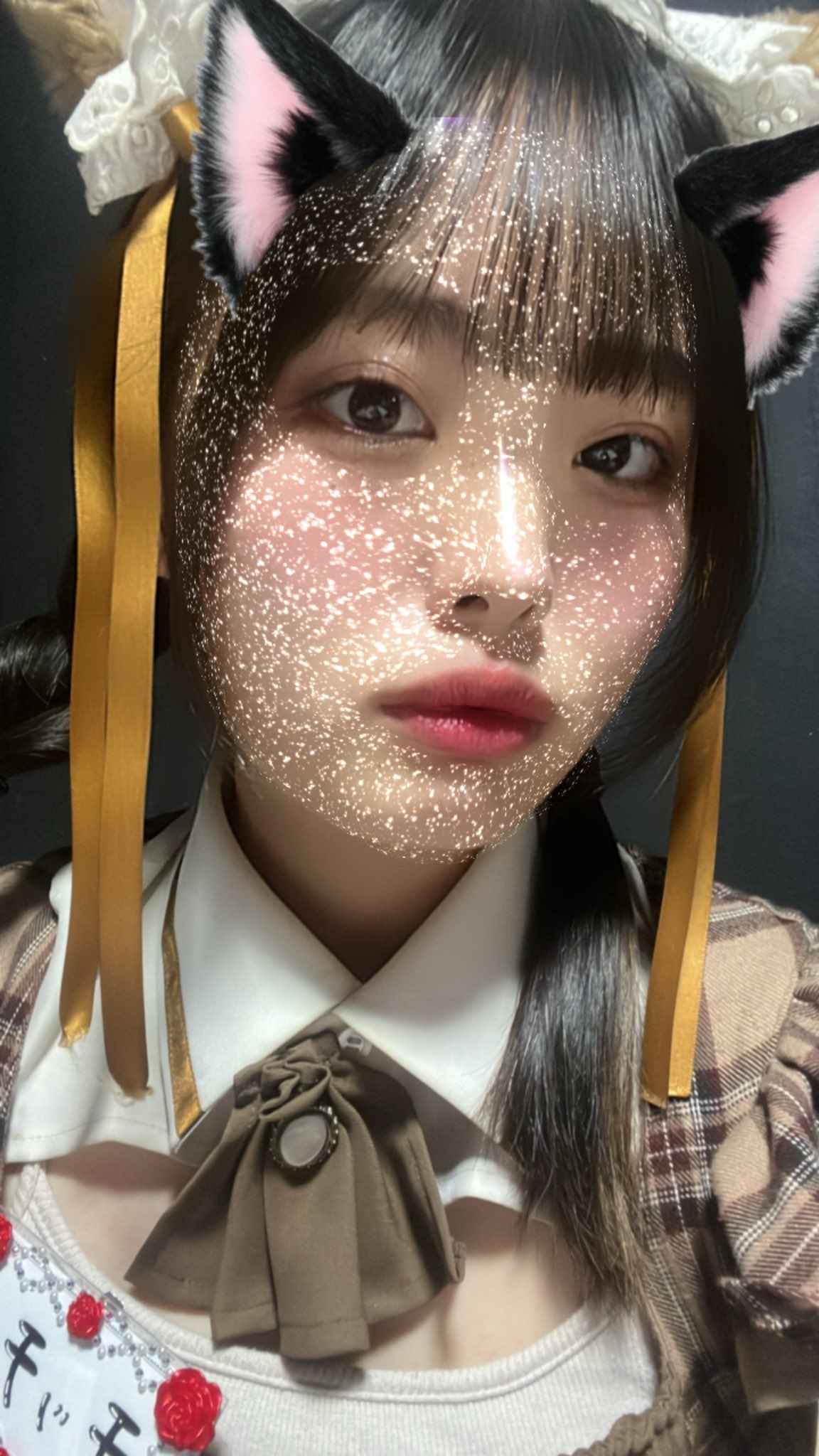 ねこもたまには甘えたい。 チッチ 1