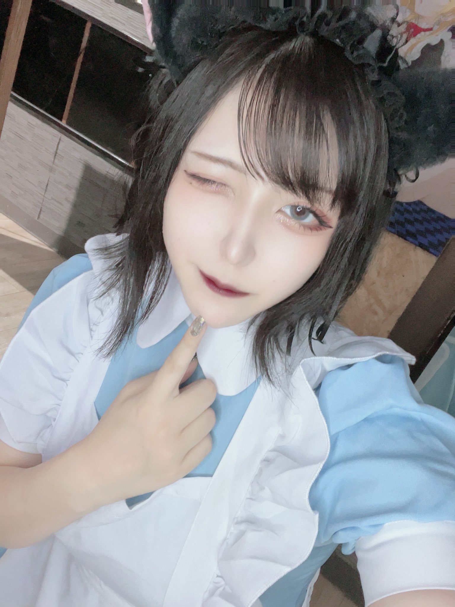 にゃんポチプラス＋ めめ 1