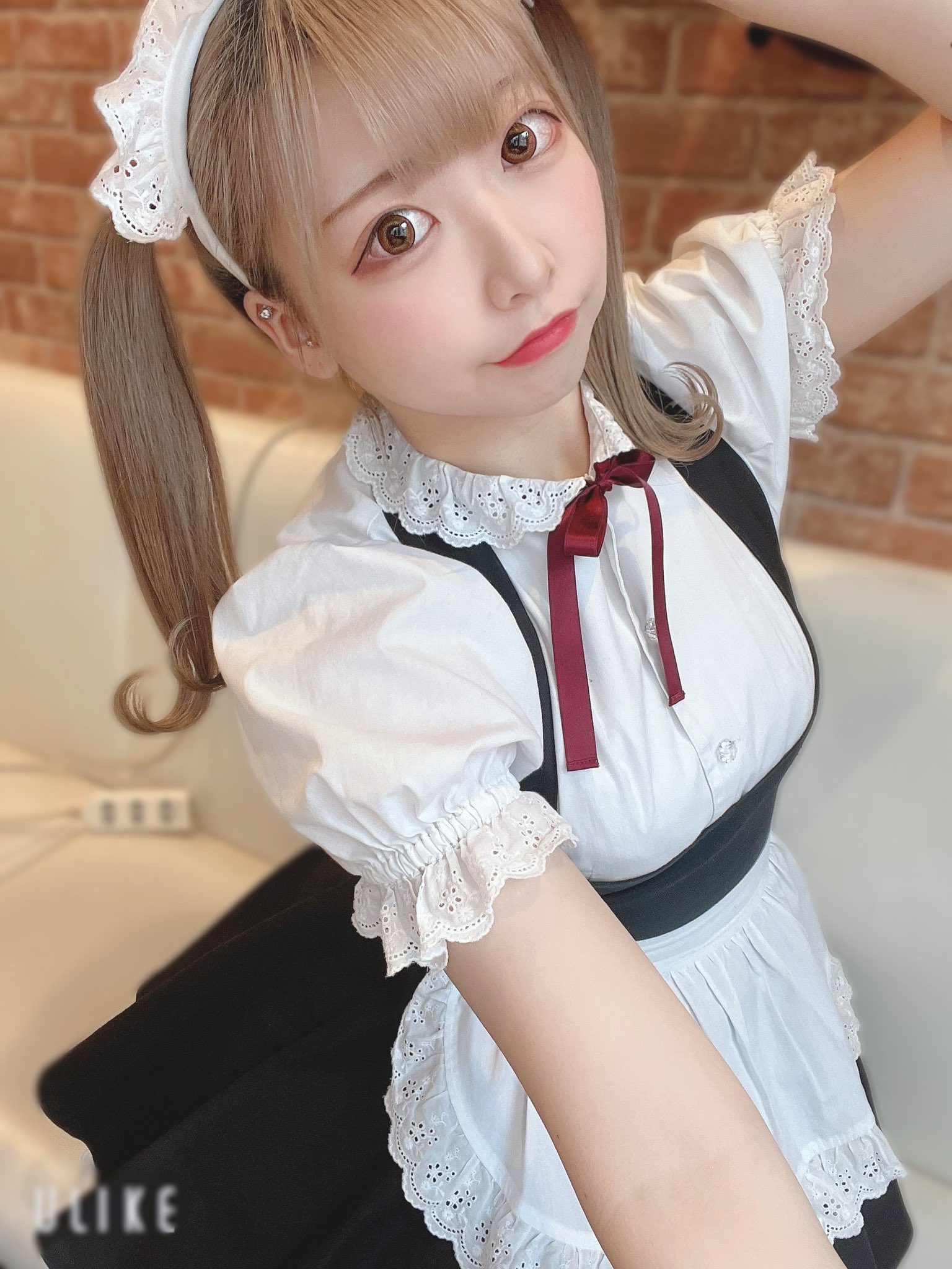 メイドカフェ HoneyHoney秋葉原店（ハニーハニー） しらゆき 1