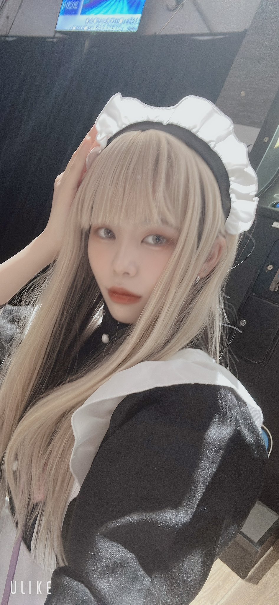 にゃんポチプラス＋ ゆう 1