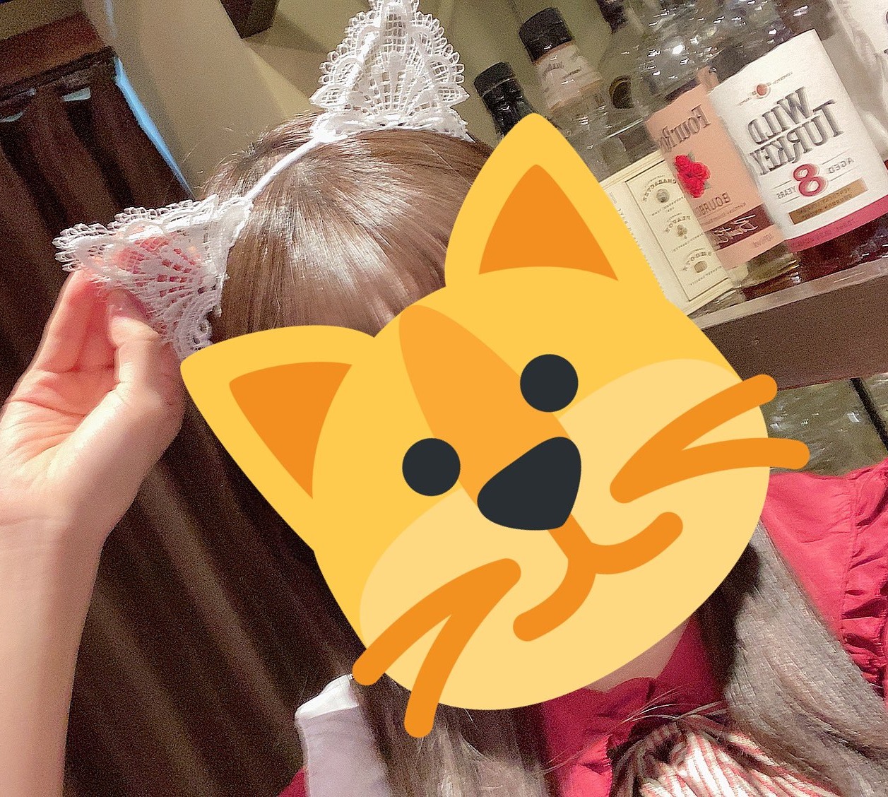 ねこの丘 はる 1