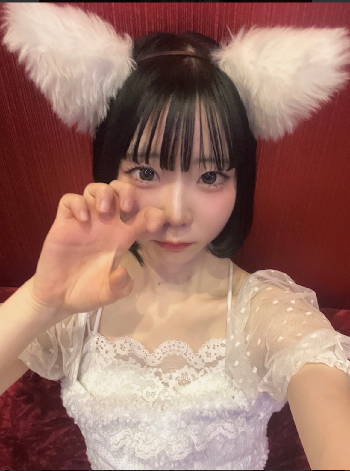 猫耳コンカフェ C4 (シーフォー)(しろ☁️)さん