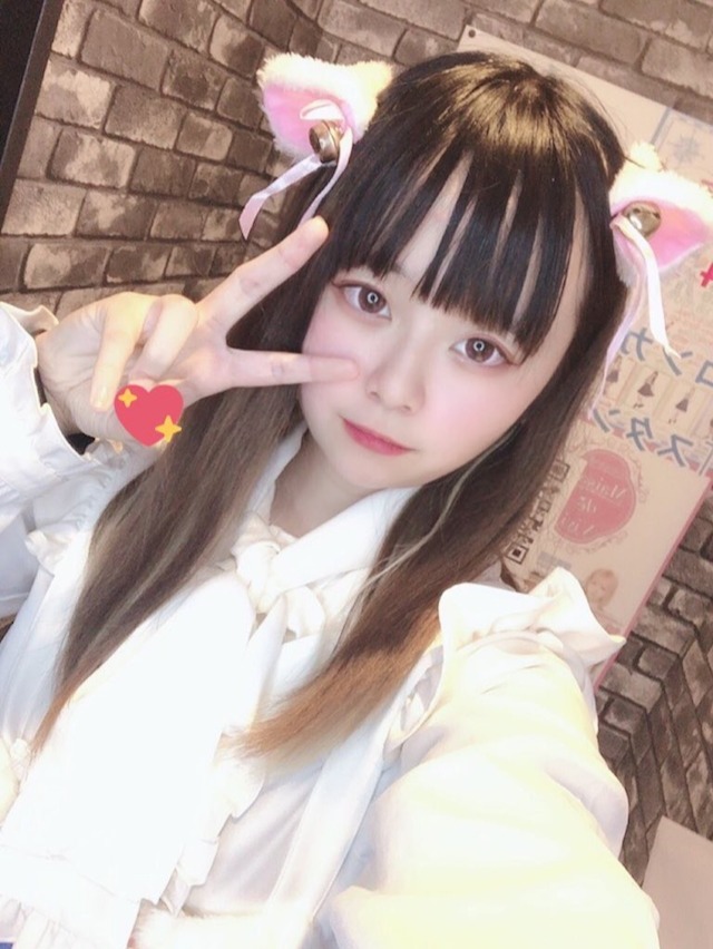 Le Chat dor (ルシャドール)(ピトー)さん