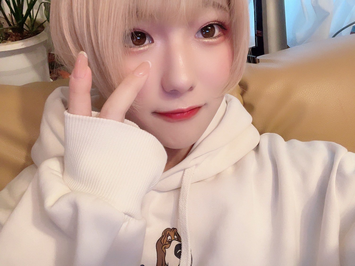 みけねこカフェ 御影ふぅ 1