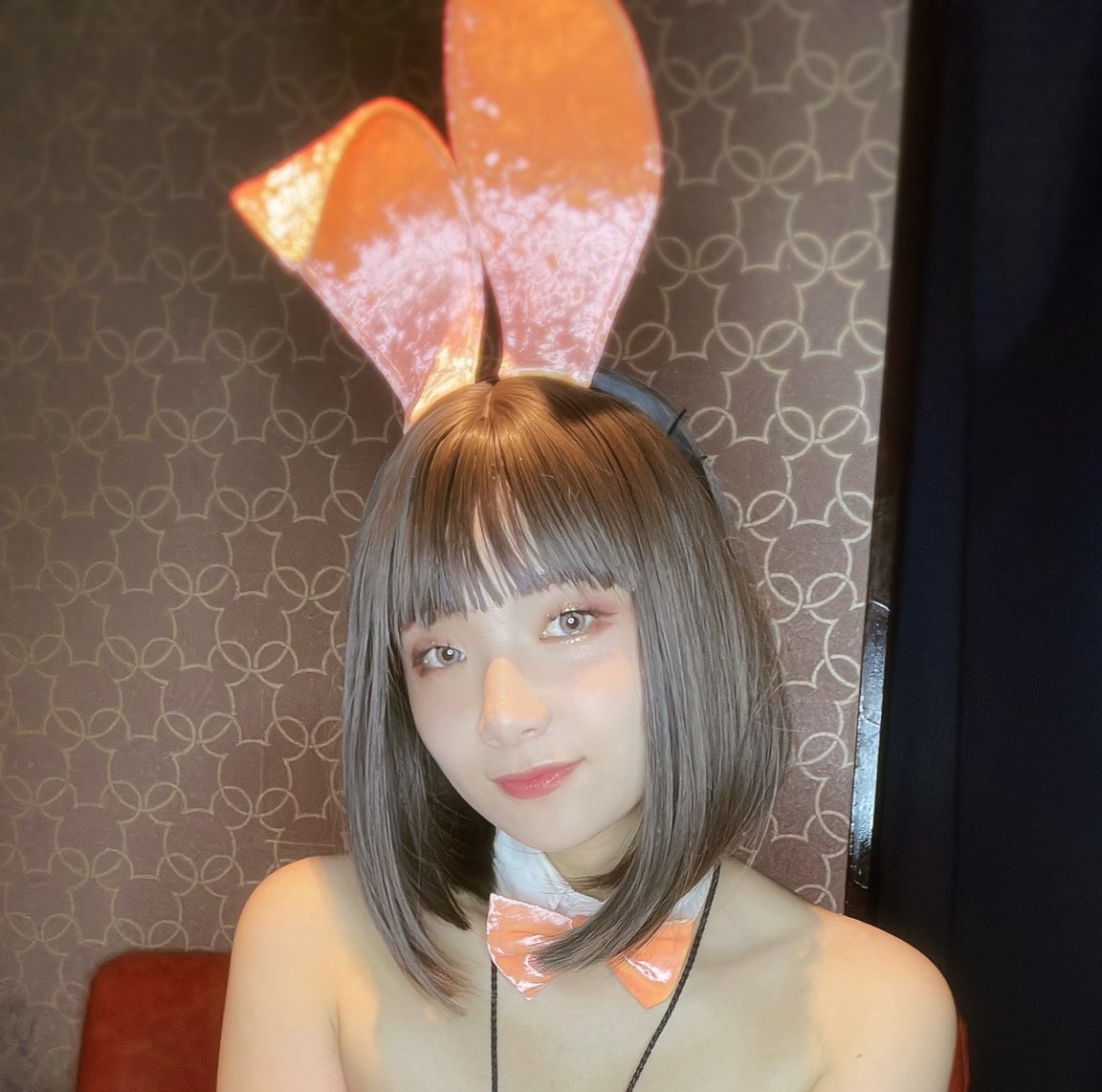 BunnyPalace（バニーパレス） よち 1