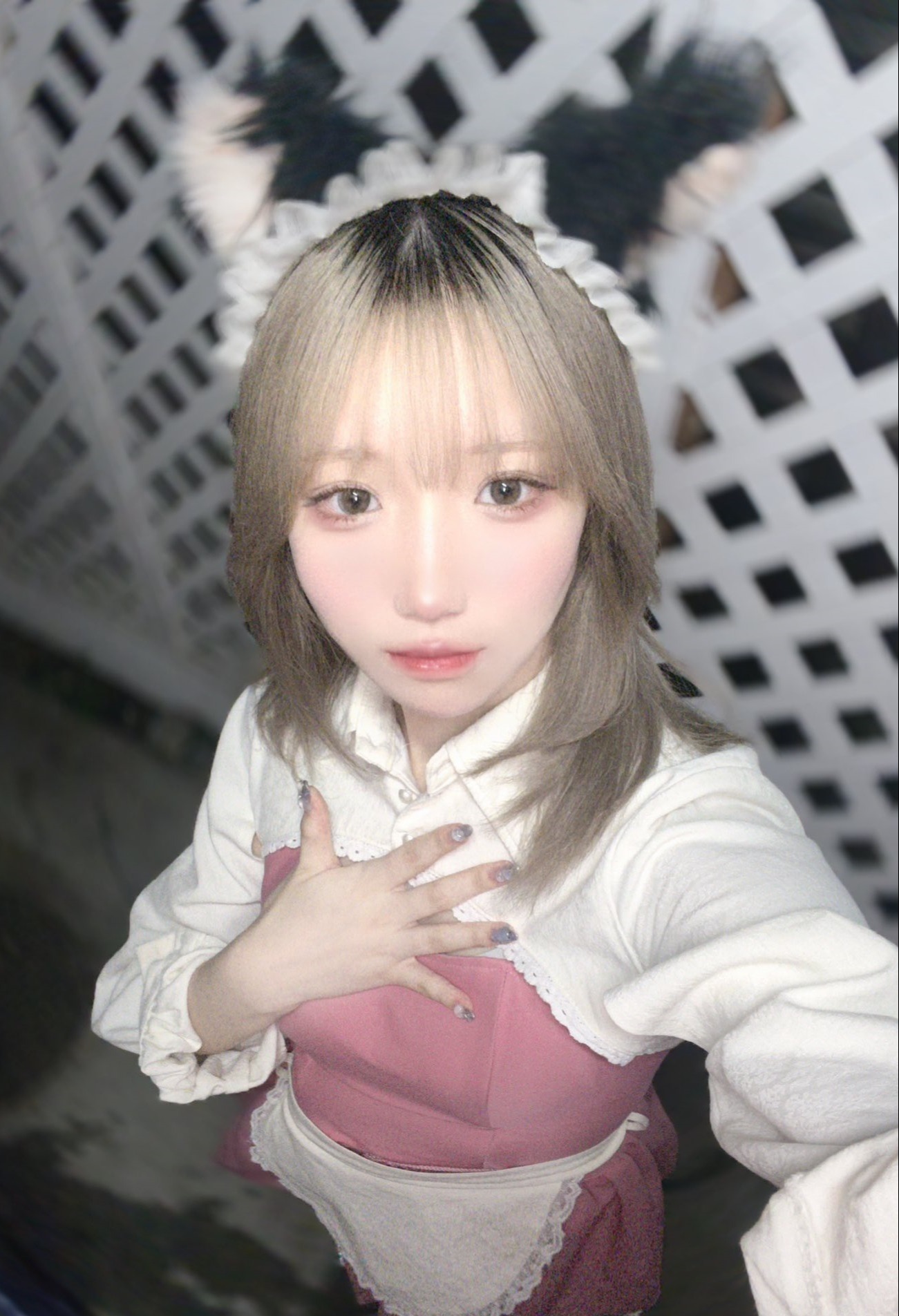 mink minx(しろ)さん