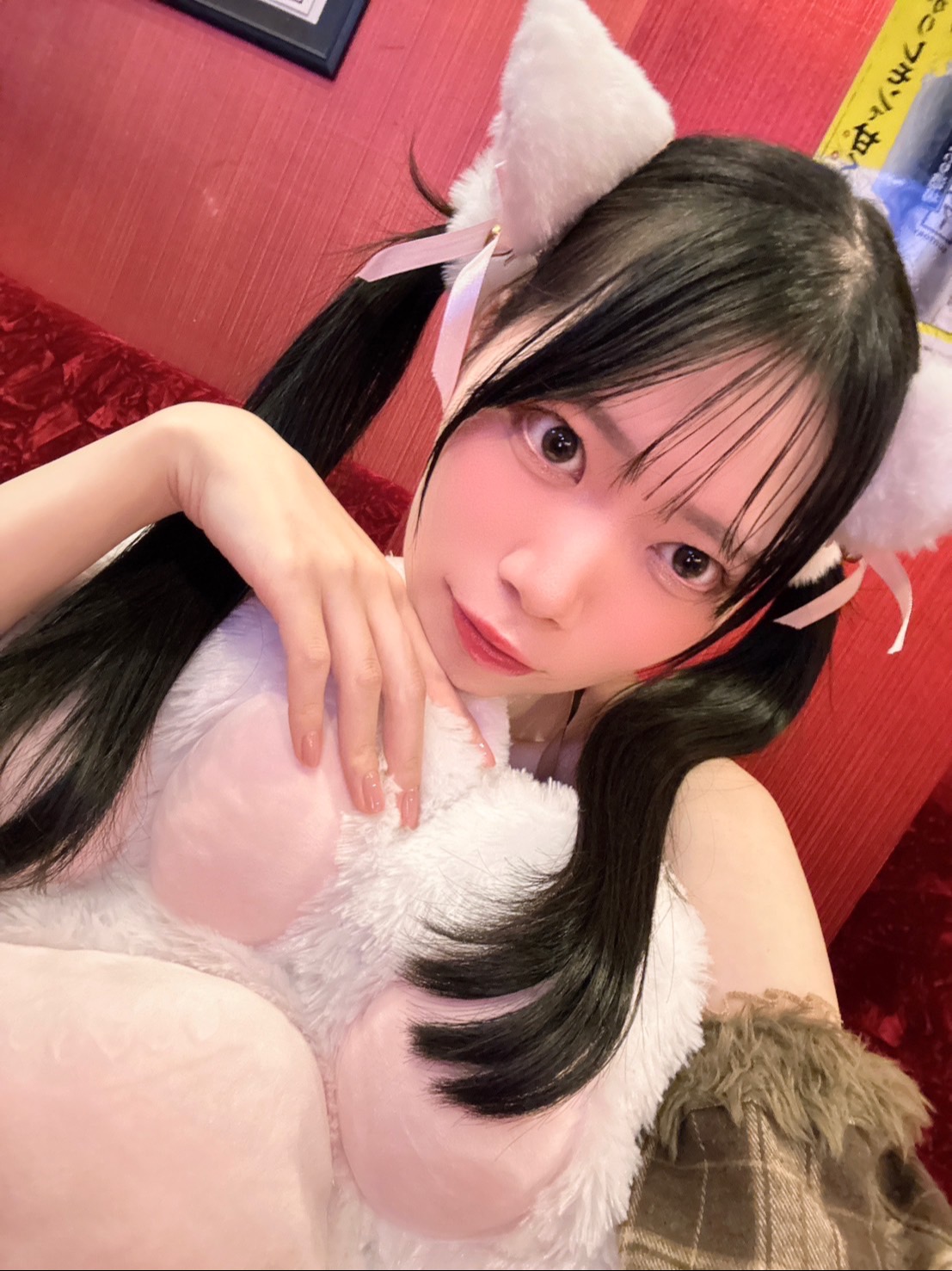 猫耳コンカフェ C4 (シーフォー)(ここあ)さん