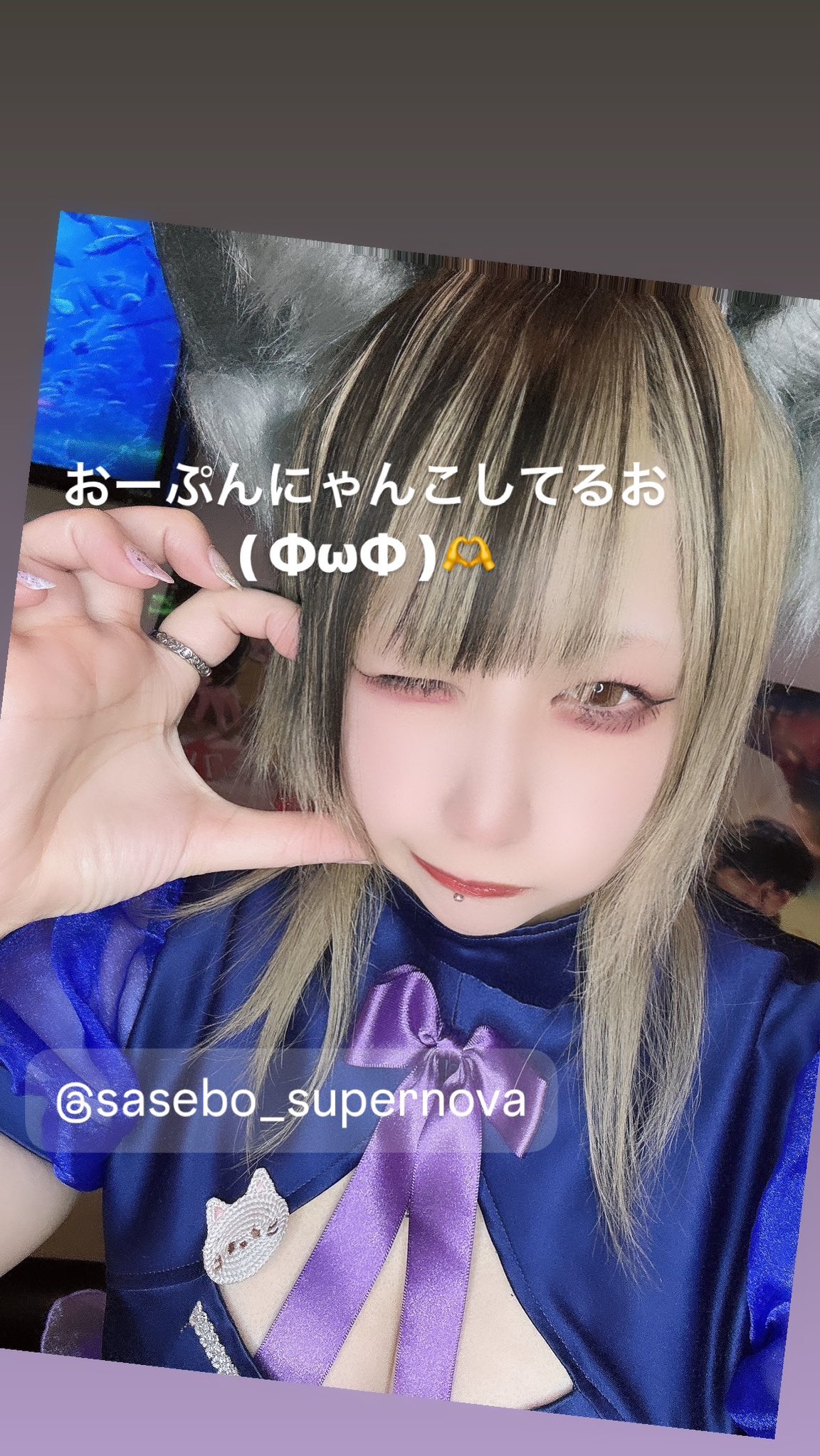 BAR SUPER NOVA Neko 1