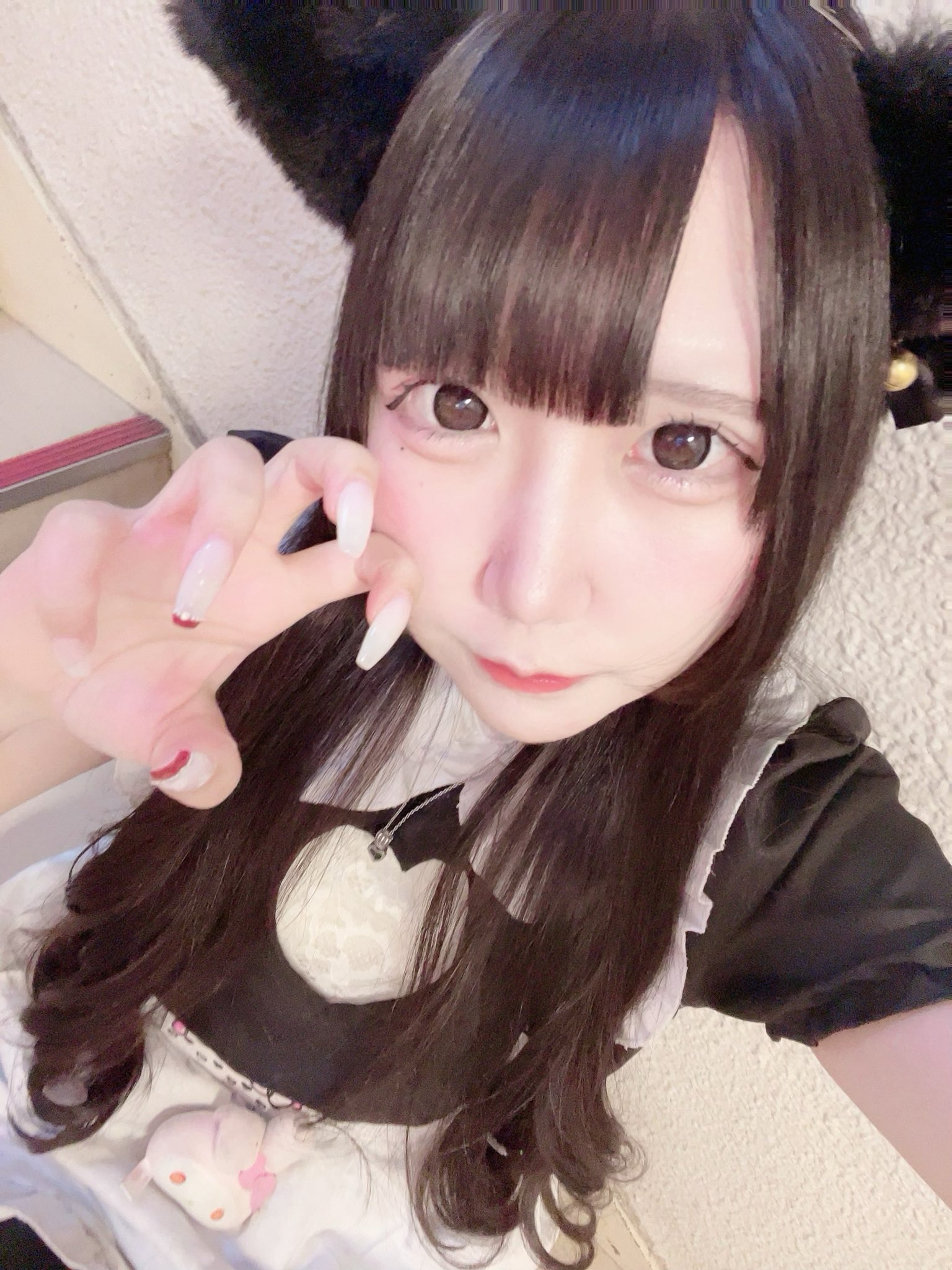 しゃんふるーる はむ 1