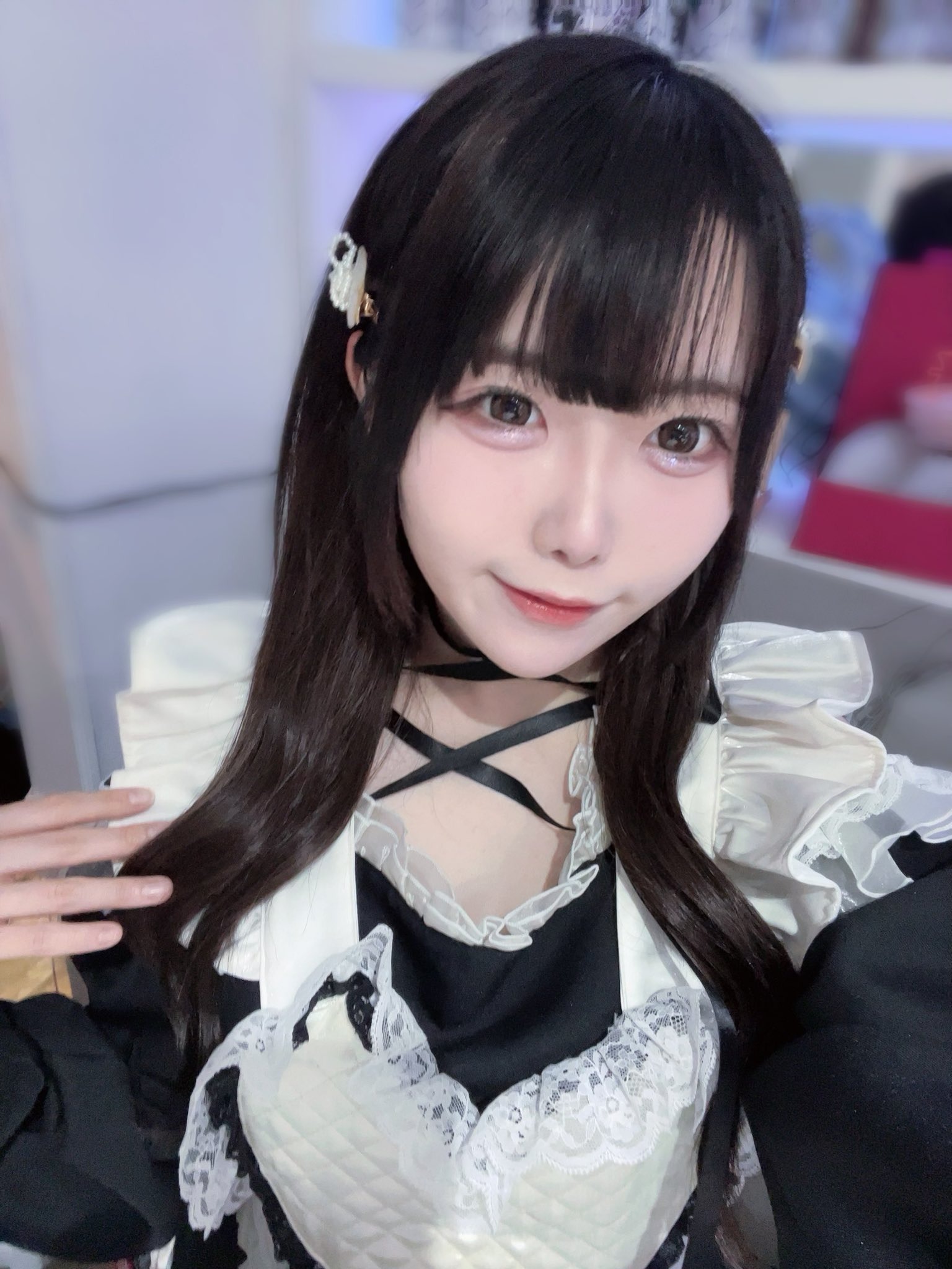駆け抜けて青春(こあ)さん