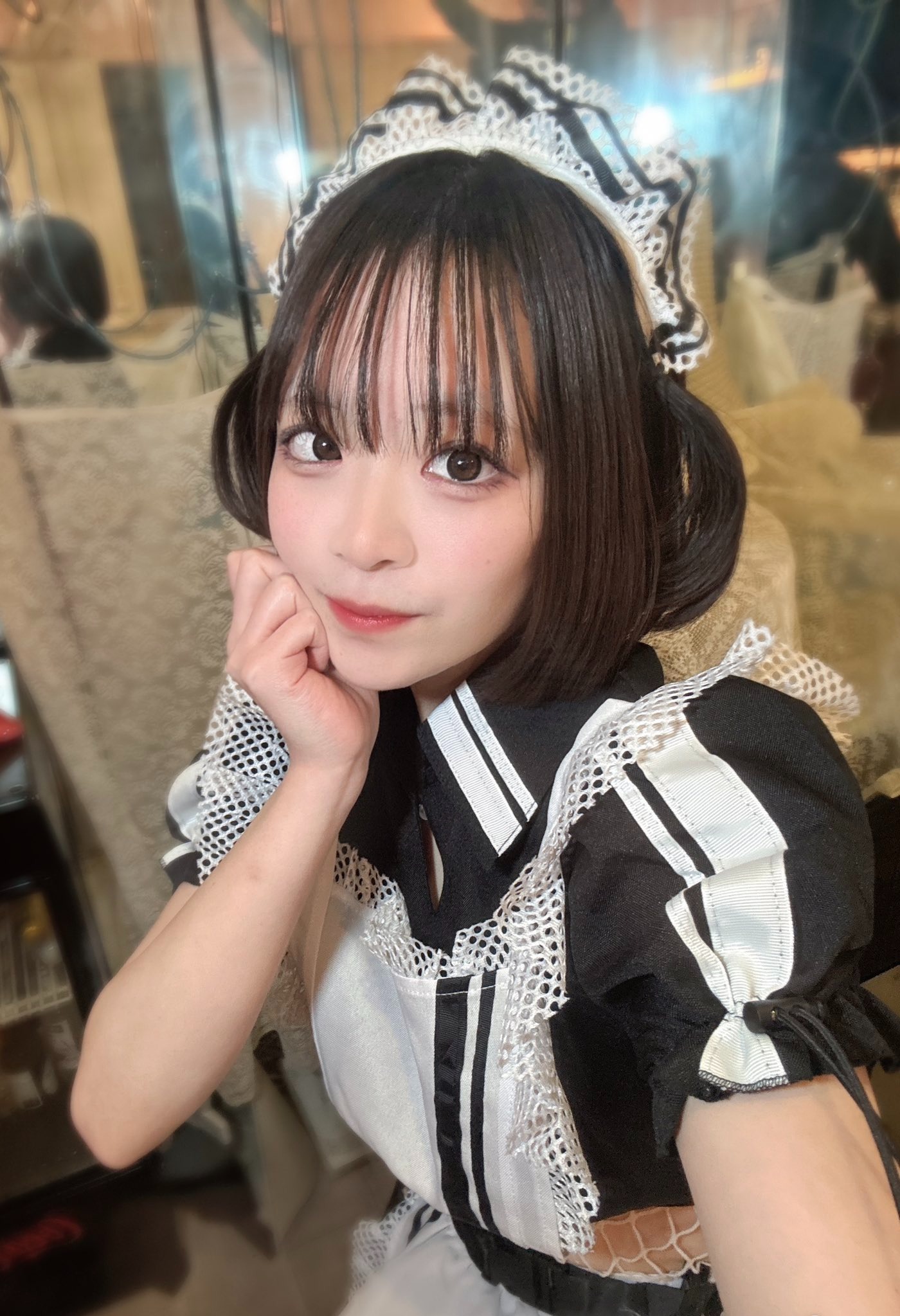 ねこの丘 りく 1