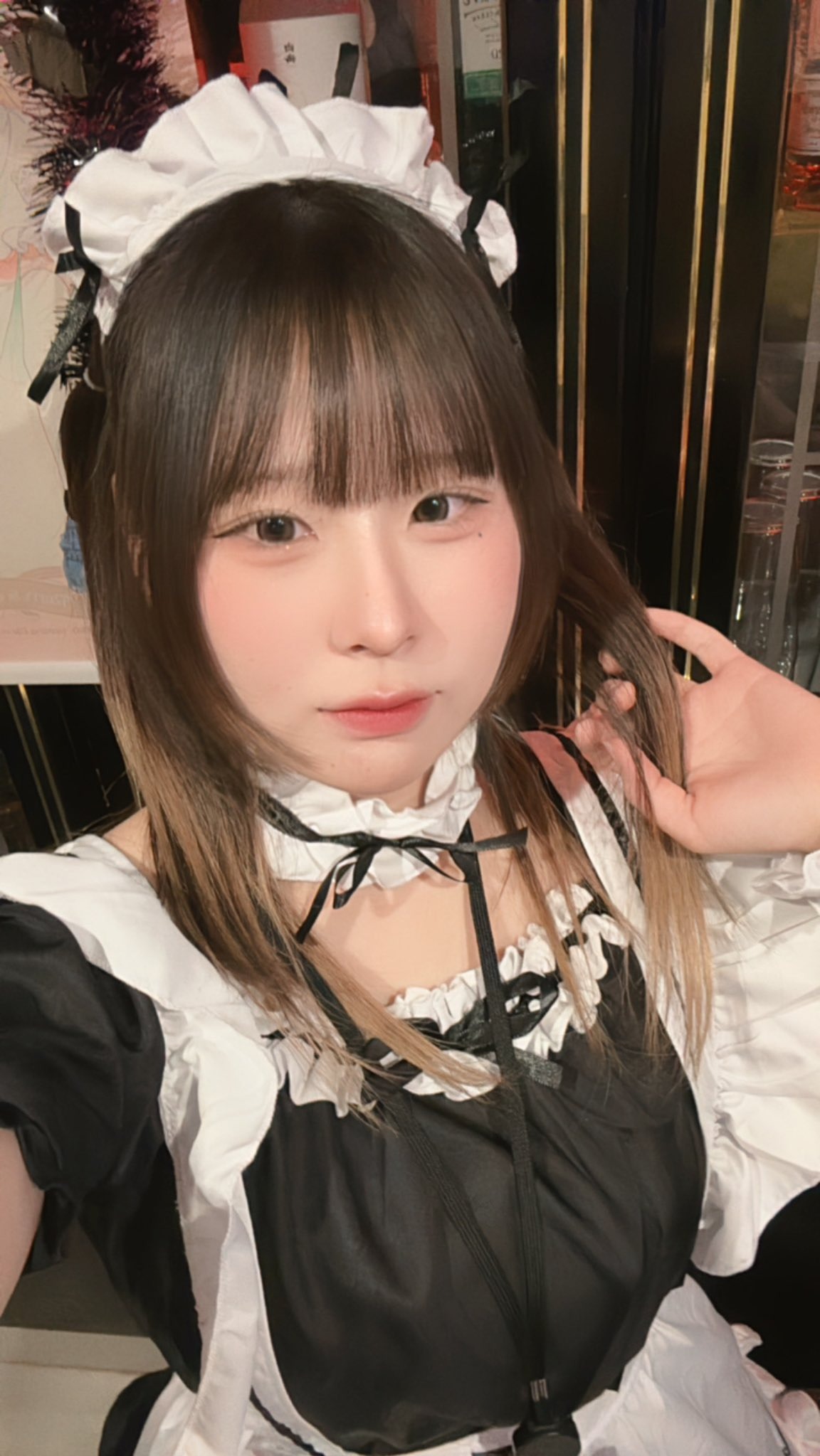 わんわんカフェバー(はち)さん