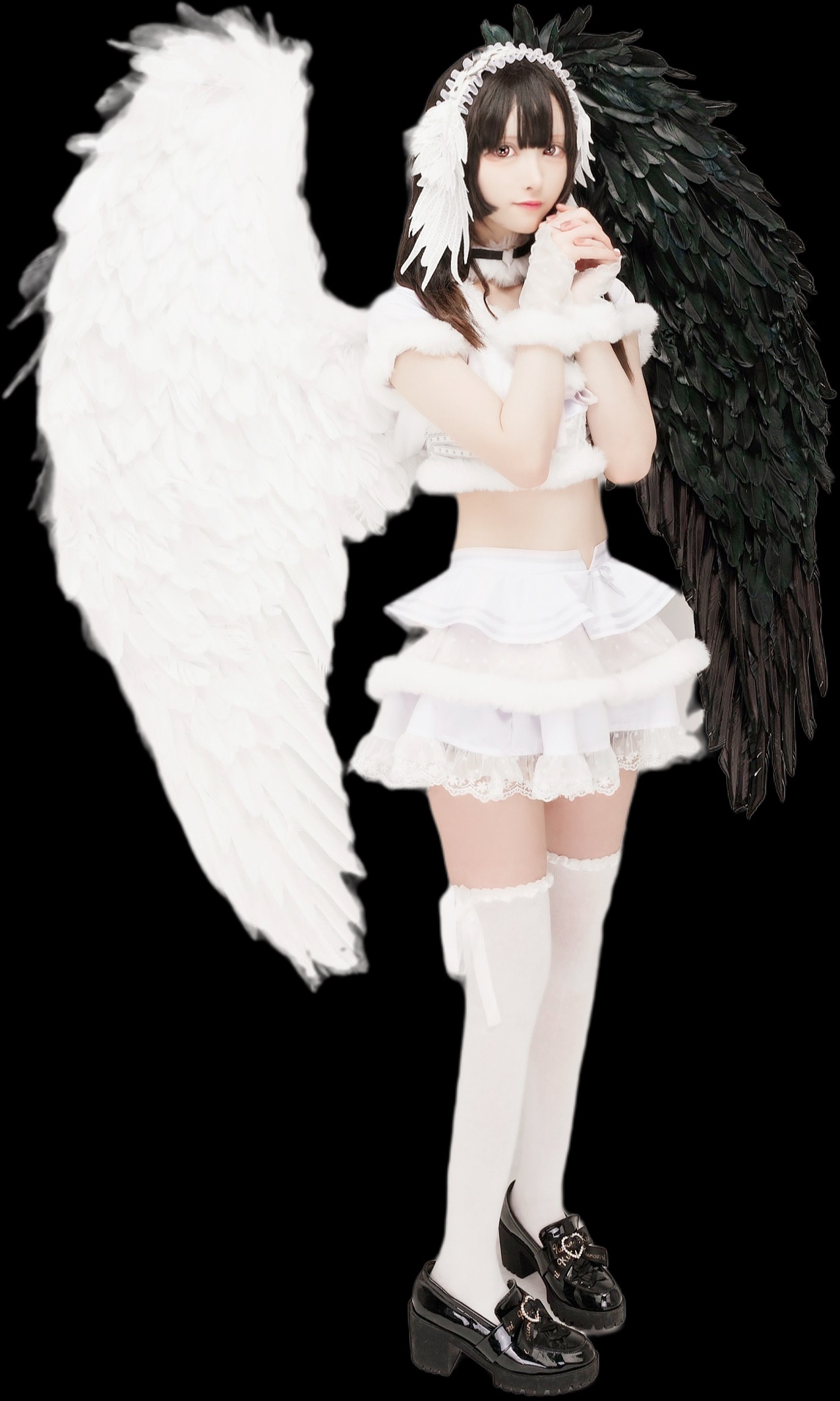 Promised land（プロミスランド）(ちわわ)さん