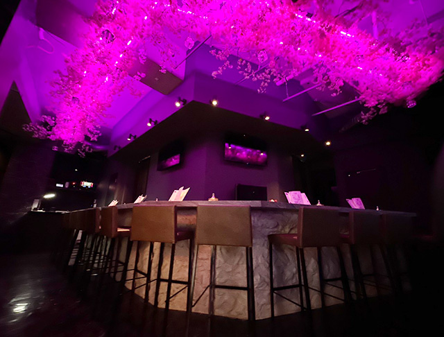 【JR・京成線船橋駅】GirlsBar.me-どっとみー- (船橋コンカフェ) - ギャラリー1