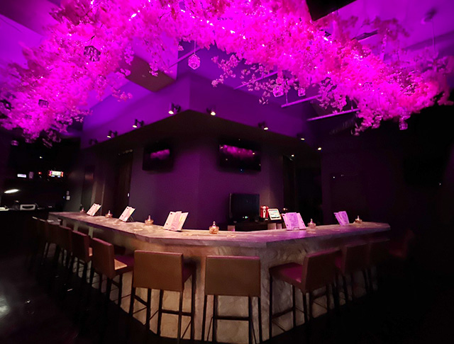 【JR・京成線船橋駅】GirlsBar.me-どっとみー- (船橋コンカフェ) - ギャラリー2