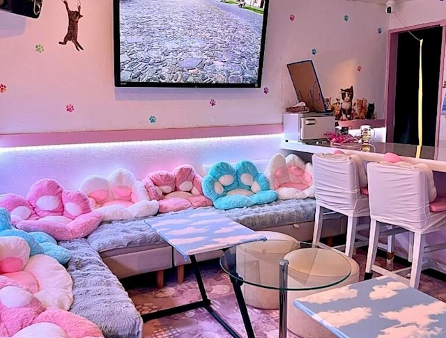 にゃんにゃんパラダイス (国分町コンカフェ) - ギャラリー1