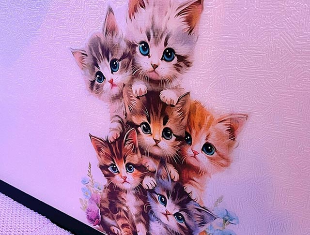 にゃんにゃんパラダイス (国分町コンカフェ) - ギャラリー3