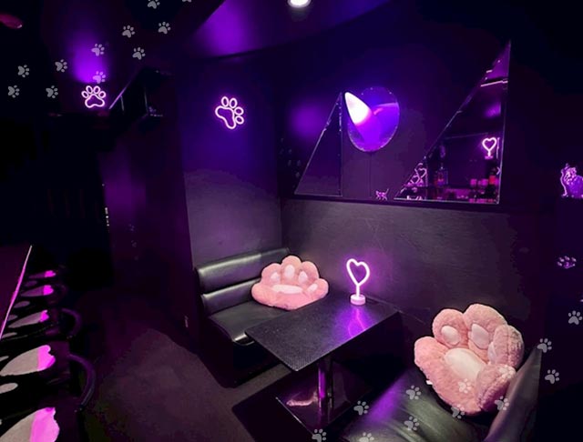 コンカフェ にゃんだふる (祇園コンカフェ) - ギャラリー3