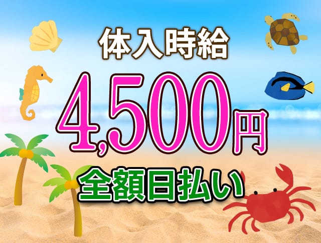 BY THE SEA （バイザシー） (大宮コンカフェ) - ギャラリー1