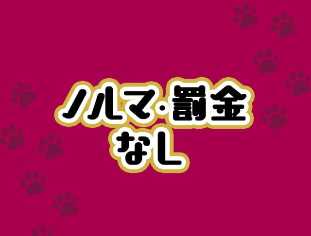 C3（シー スリー） (心斎橋コンカフェ) - ギャラリー3