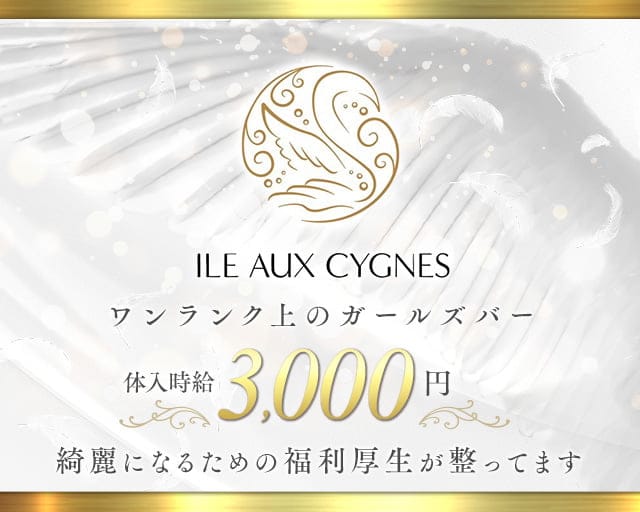 ILE AUX CYGNES（イルシグネス） 中洲コンカフェ求人・バイト TOP画像