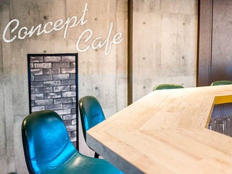 SELECTION(セレクション)