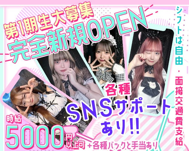 【昼・夜】Dolls Maid（ドールズメイド） 桜木町コンカフェ求人・バイト TOP画像