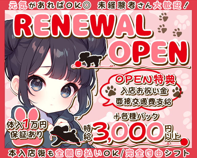 GirlsBar プードルピンク 日本橋コンカフェ求人・バイト TOP画像