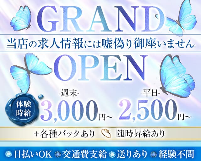 Girl's Bar Nabi（ナビ） 掛川駅コンカフェ求人・バイト TOP画像