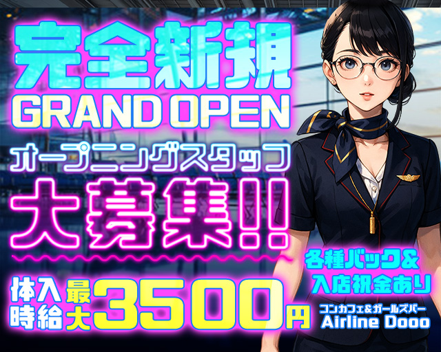 Airline Dooo（エアライン ドゥー）