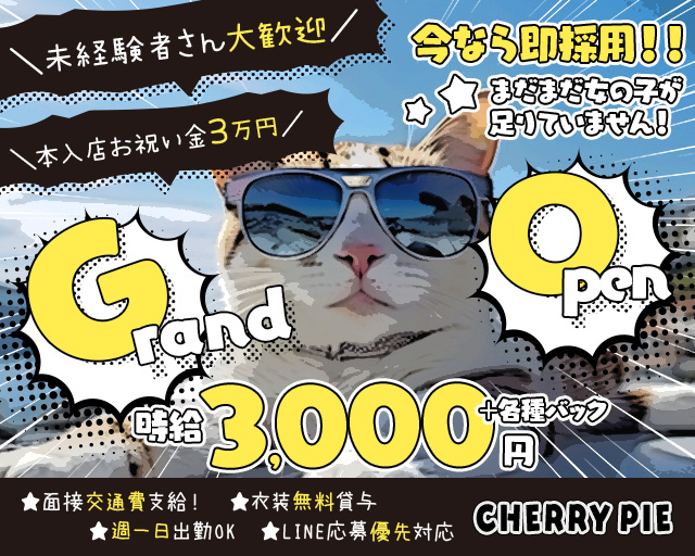 【赤羽】CHERRY PIE（チェリーパイ） 南浦和コンカフェ求人・バイト TOP画像