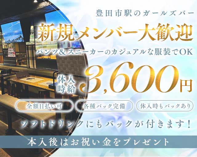 VEGEBIRD（ベジバード） 豊田(愛知)コンカフェ求人・バイト TOP画像