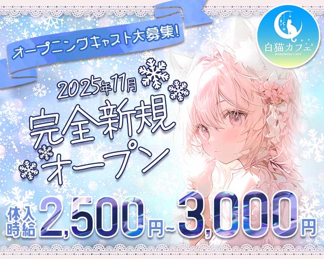 白猫カフェ（シロネコカフェ） 郡山駅コンカフェ求人・バイト TOP画像