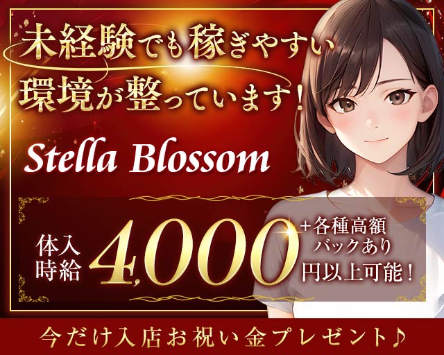 【和光市】Stella Blossom（ステラブロッサム） 志木駅コンカフェ求人・バイト TOP画像