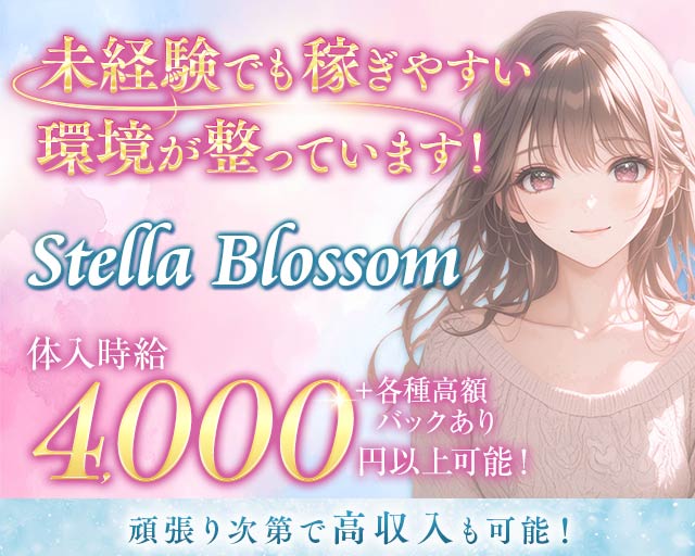【和光市】Stella Blossom（ステラブロッサム） 志木駅コンカフェ求人・バイト TOP画像