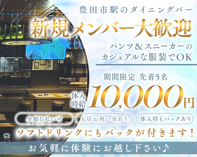 VEGEBIRD（ベジバード） 豊田(愛知)コンカフェ求人・バイト TOP画像