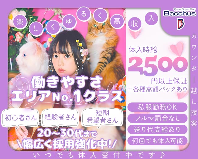 【茅ヶ崎】ガールズバーBacchus （バッカス） 藤沢駅コンカフェ求人・バイト TOP画像