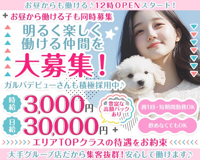 【小田原/昼・夜】Girls Bar Lounge & Co.（アンドコー） 平塚駅コンカフェ求人・バイト TOP画像