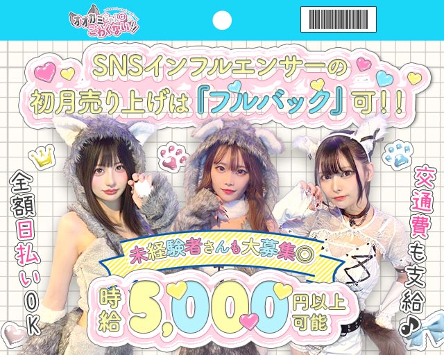 【昼・夜】オオカミちゃんはこわくない 桜木町コンカフェ求人・バイト TOP画像
