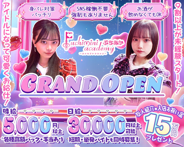 Puchimini  academy（ぷちみにあかでみー）