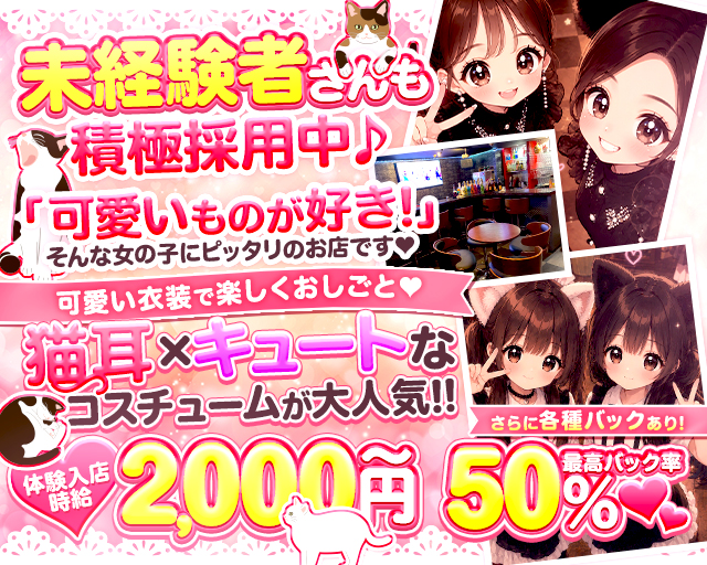 Concept Girls BAR Mew（ミュー） 岡山駅コンカフェ求人・バイト TOP画像