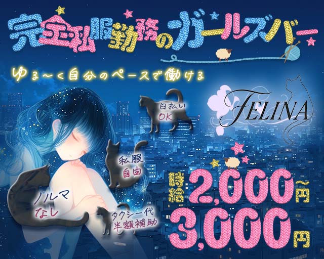 FELINA（フェリナ） 天王寺コンカフェ求人・バイト TOP画像