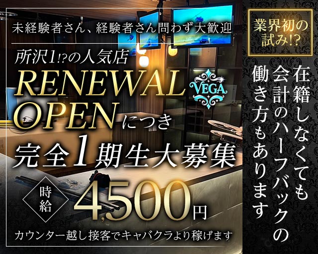 VEGA（ベガ） 所沢駅コンカフェ求人・バイト TOP画像