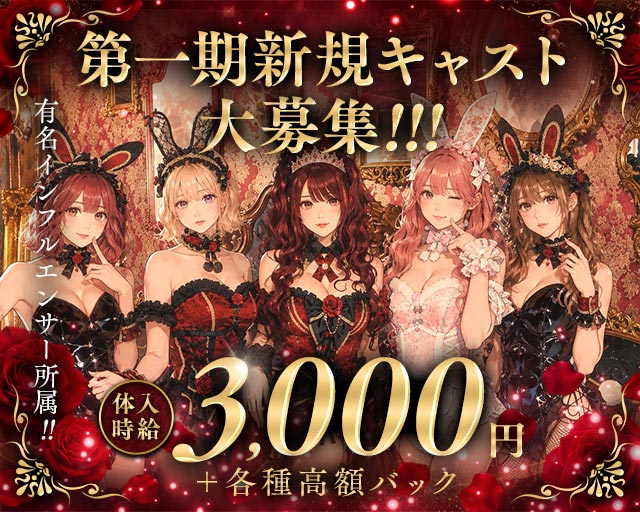 Bisquedoll the Bunny（ビスクドール ザ バニー）