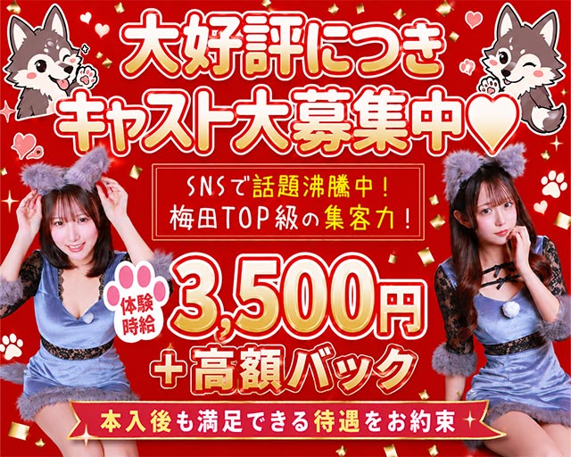 オオカミちゃんカフェ梅田店 梅田コンカフェ求人・バイト TOP画像