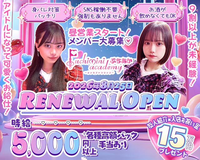 【朝昼夜】Puchimini academy（ぷちみにあかでみー）