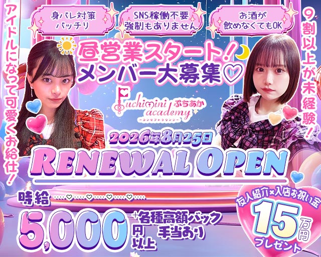 【朝昼夜】Puchimini academy（ぷちみにあかでみー）